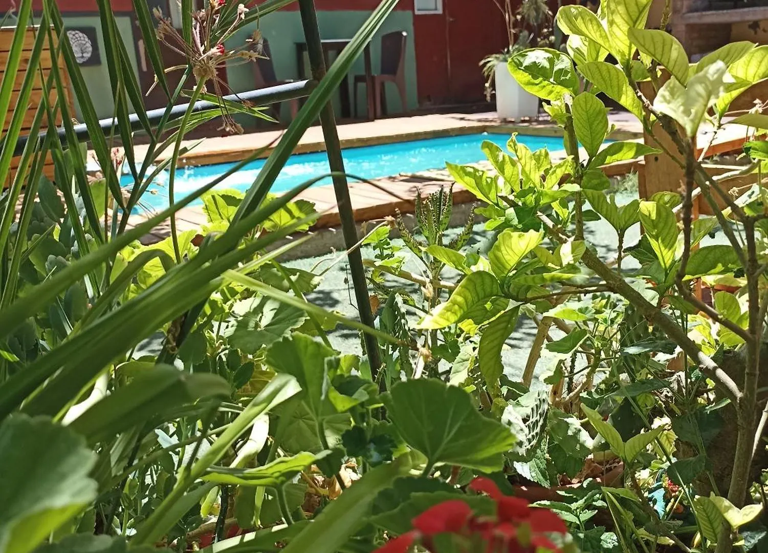 Hostel Estacion Mendoza Argentina
